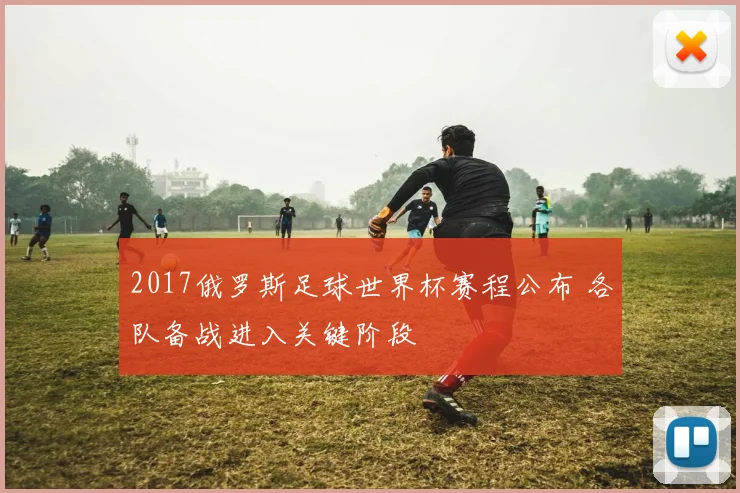 2017俄罗斯足球世界杯赛程公布 各队备战进入关键阶段