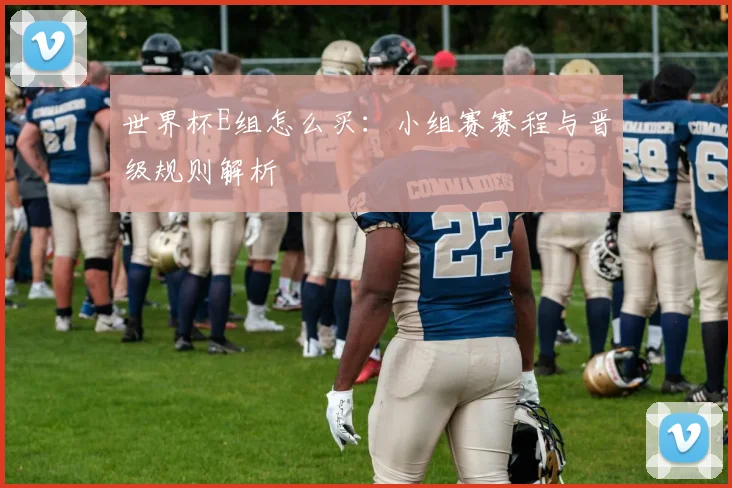 世界杯E组怎么买:小组赛赛程与晋级规则解析