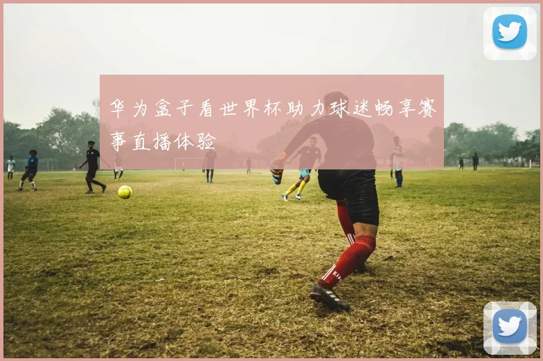 华为盒子看世界杯助力球迷畅享赛事直播体验