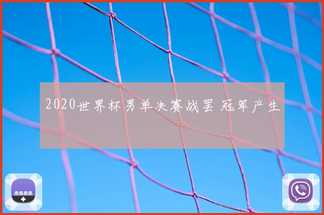 2020世界杯男单决赛战罢 冠军产生