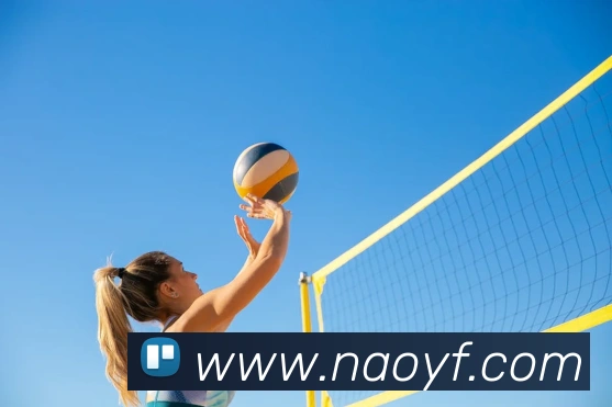 世界杯app官网服务体系